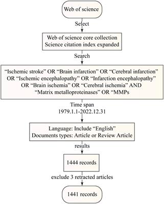 Bibliometric and visualization analysis of matrix metalloproteinases in ischemic stroke from 1992 to 2022